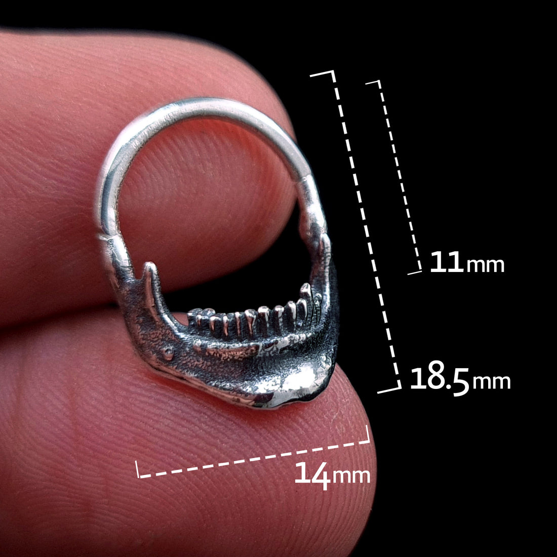 Sterling silver Reaped Mandible clicker septum ring by RBZ Jewelry held in hand for proportions, featuring dimensions of 18.5mm total height, 14mm width, and an 11mm inner drop.