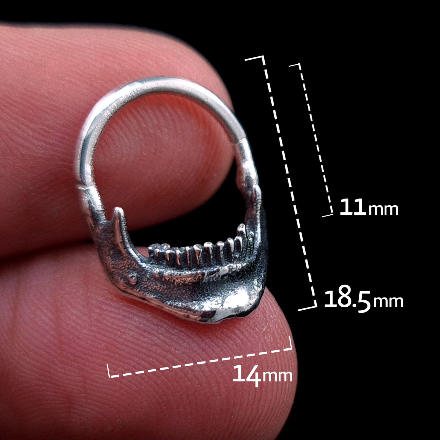 Sterling silver Reaped Mandible clicker septum ring by RBZ Jewelry held in hand for proportions, featuring dimensions of 18.5mm total height, 14mm width, and an 11mm inner drop.
