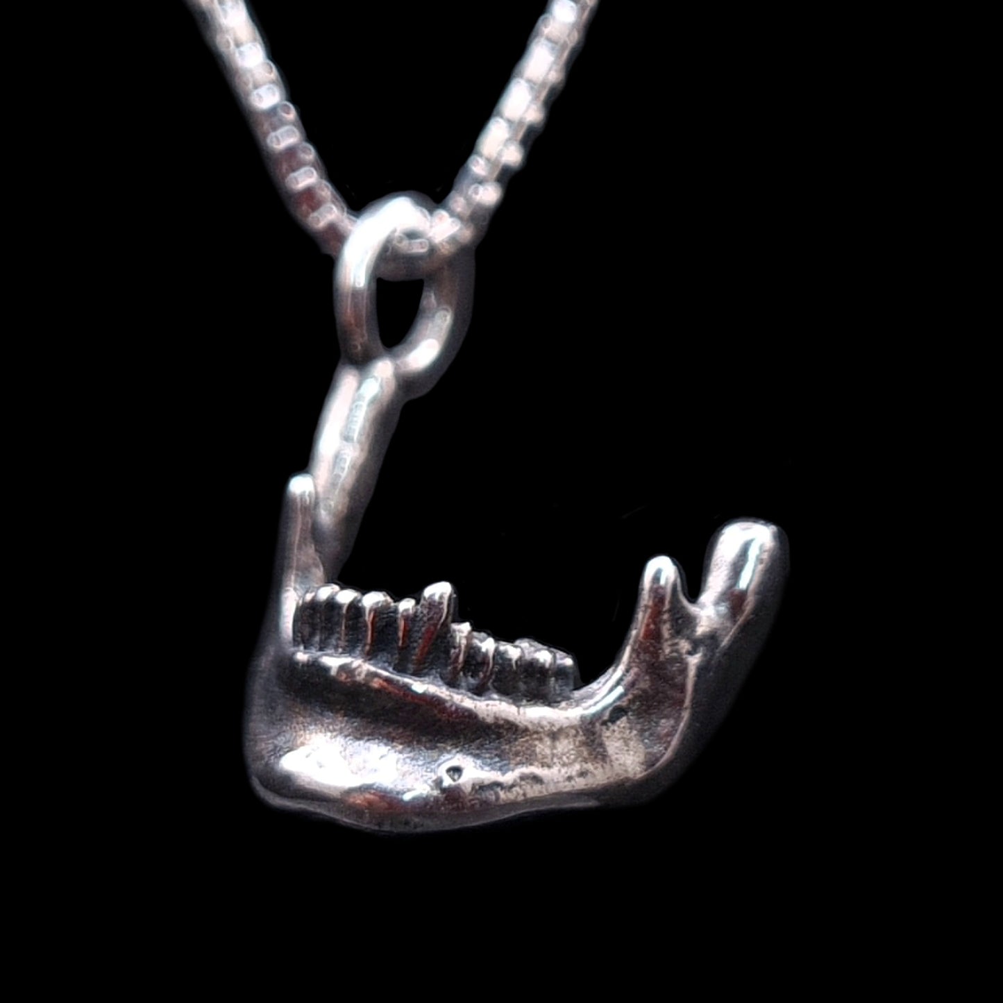 Detailed left-facing profile photograph of the RBZ Jewelry oxidized sterling silver anatomical Skull Jawbone pendant. The weathered mandible, a Memento Mori talisman with detailed teeth and bone texture, is suspended from a matching silver box chain against a pure black background. This view shows the chin on the left.