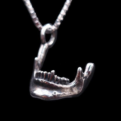 Detailed left-facing profile photograph of the RBZ Jewelry oxidized sterling silver anatomical Skull Jawbone pendant. The weathered mandible, a Memento Mori talisman with detailed teeth and bone texture, is suspended from a matching silver box chain against a pure black background. This view shows the chin on the left.