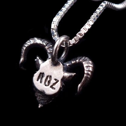 RBZ Jewelry Gothic Sterling Horned Demon pendant back view: The reverse side of the oxidized sterling silver demon head featuring the RBZ brand hallmark stamp, shown on a silver box chain against a solid black background.